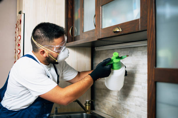 Best Best Pest Control Companies  in Denver City, TX