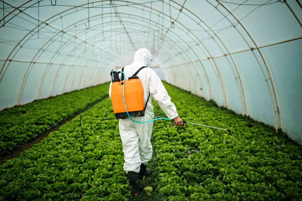 Best Pest Prevention Services  in Denver City, TX