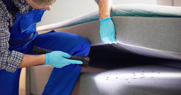 Pest Control for Restaurants in Denver City, TX