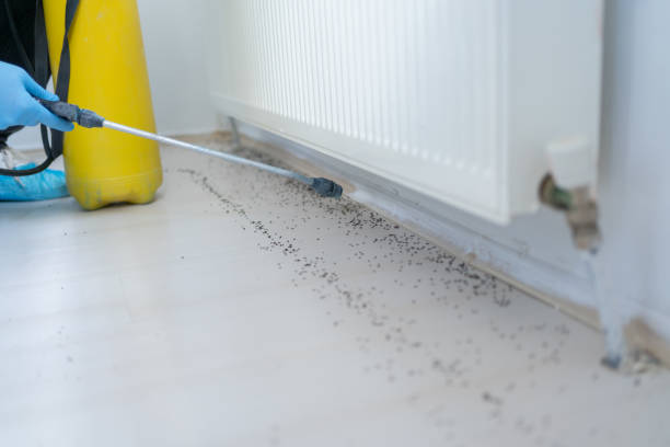 Best Best Pest Control Companies  in Denver City, TX